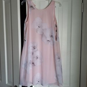 NWT Beautiful Floral Calvin Klein Dress, size 6